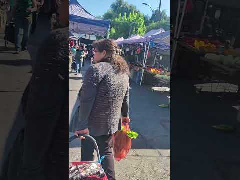 Feria de pueblo.
