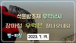 석문방조제 우럭 낚시 장마철 에도 우럭은 잘나오네요~