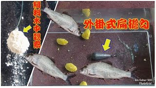 日月潭爆釣鯁魚扁擔勾改良與餌料調配秘訣