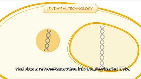 Flash Therapeutics lentiviral vectors technology