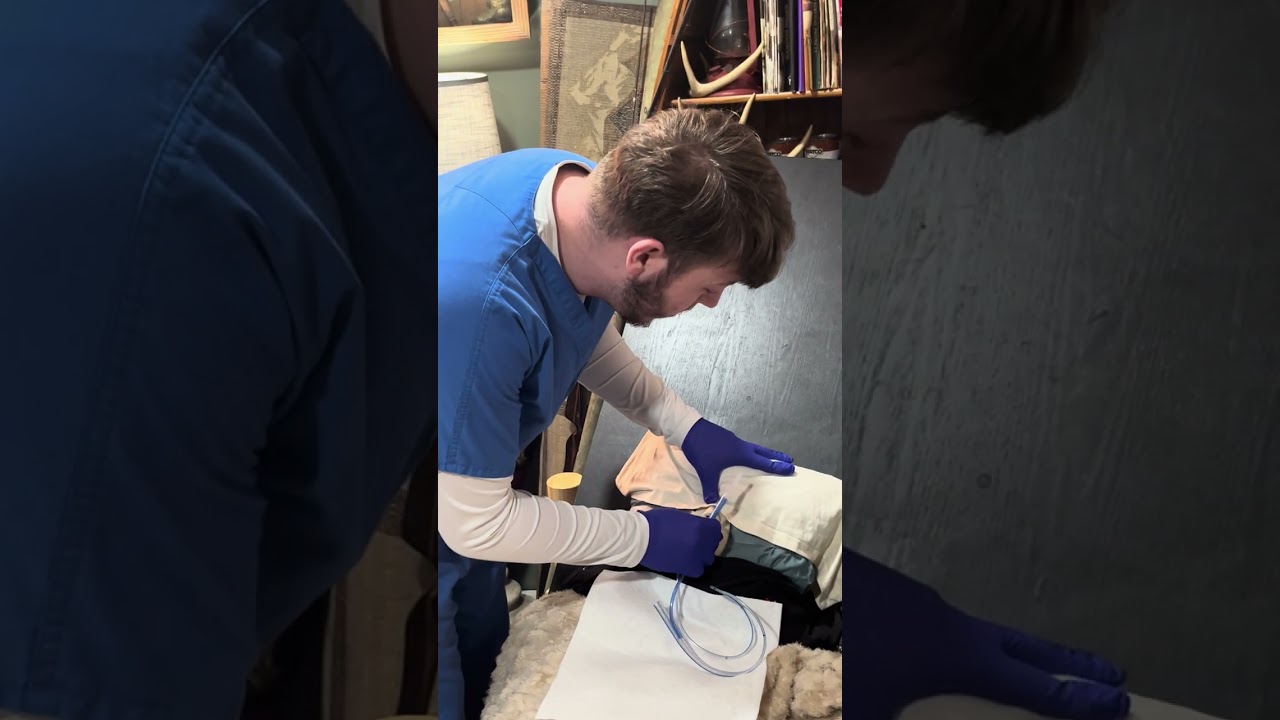 NG insertion skills video