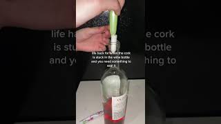 A brilliant idea for sealing a wine bottle if you dont have a... #Shorts #travelbeejulia