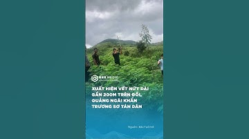 XUẤT HIỆN VẾT NỨT DÀI GẦN 200m TRÊN ĐỒI, QUẢNG NGÃI KHẨN TRƯƠNG SƠ TÁN DÂN | BEE MEDIC