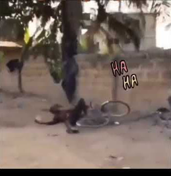 mama africa#tiktok#funny#africa