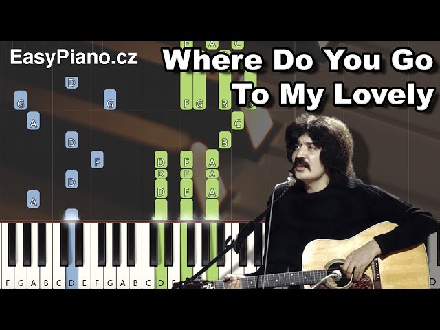 Song Where Do You Go To My Lovely by Peter Sarstedt, song lyric for vocal  performance plus accompaniment chords for Ukulele, Guitar, Banjo etc.