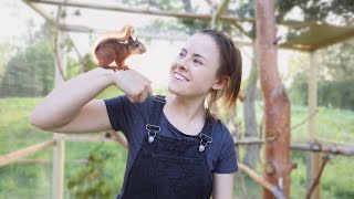 Rescue Baby Squirrel goes Outside for the First Time!  (Episode 4) screenshot 5