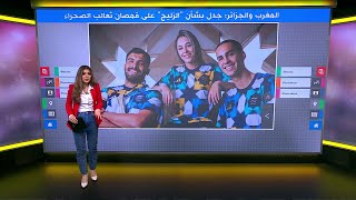 المغرب والجزائر: بسبب تصميم قميص منتخب الجزائر.. أديداس تعتذر للمغرب