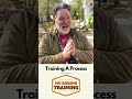 Training A Process or Procedure