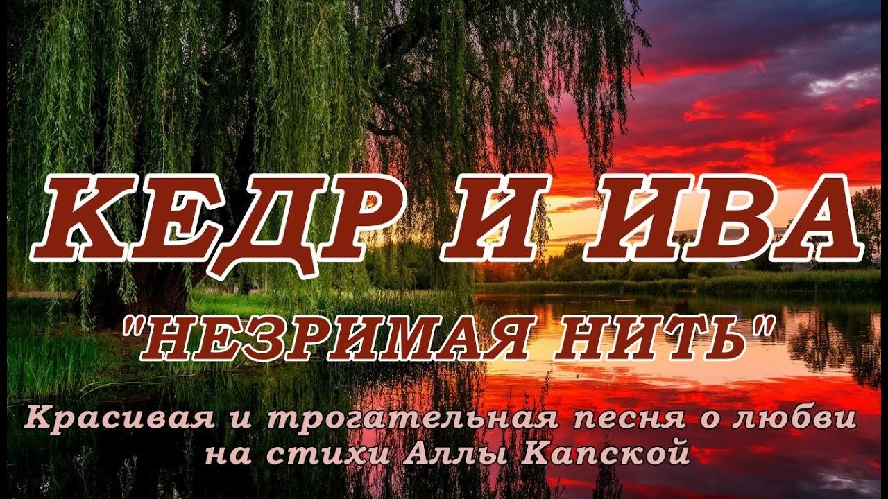 КЕДР И ИВА. НЕЗРИМАЯ НИТЬ