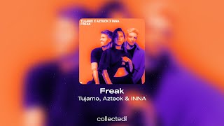 Tujamo, Azteck & INNA - Freak Resimi