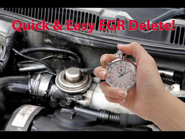 Easy EGR Delete in 1 Minute! VW Golf TDI MK4 EGR Valve-Vacuum Hose