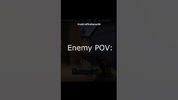 Using Chicken As Distraction (CS:GO TRICKS)