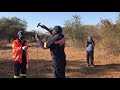 Water Treatment in Botswana | Travel Vlog