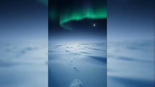 Walking in Snow Under Northern Lights ❄️