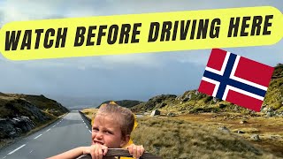 5 Things to know BEFORE a Norway Road Trip in 2024!! #familyvlog #norway #roadtrip