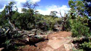 Moab, UT - April 26 2011 - Porcupine Rim 02