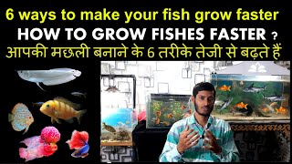 6 ways To make your Fish grow Faster 100% Works screenshot 3