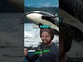 Killer Whales Uncovered: The True Nature of Orcas with Forrest Galante &amp; Joe Rogan