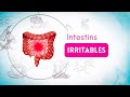 Prendre soin de ses intestins  les intestins irritables