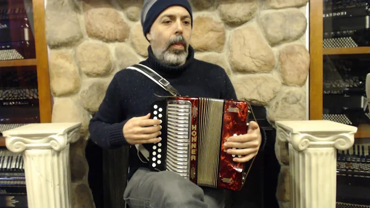 2428 - Red Hohner Erica Diatonic Accordion A-D MM ...