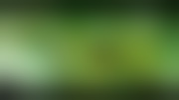 Fallout 4 The Story Wealth Mod Collection featuring Ashley Enclave Soldier Episode 1