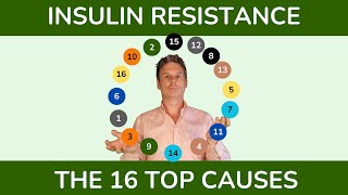 Insulin Resistance: Top Causes & Contributing Factors
