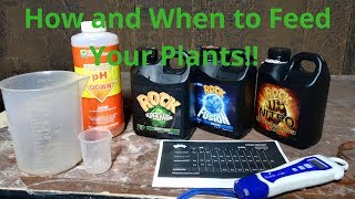 Cannabis Tips n' Tricks #3 - How and When to Feed Your Plants!