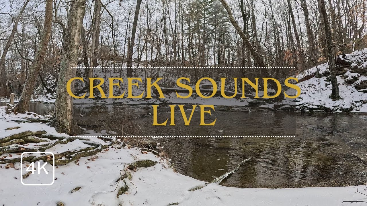 Live Winter Creek Sounds - Relaxing Water Sounds for Sleep, Focus & Stress Relief