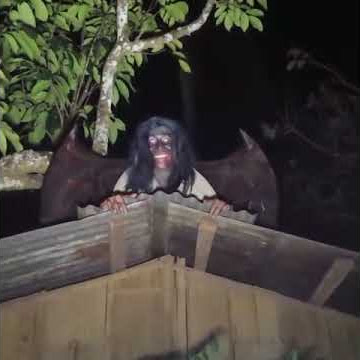 Wak-Wak Caught on Camera (Laguna)
