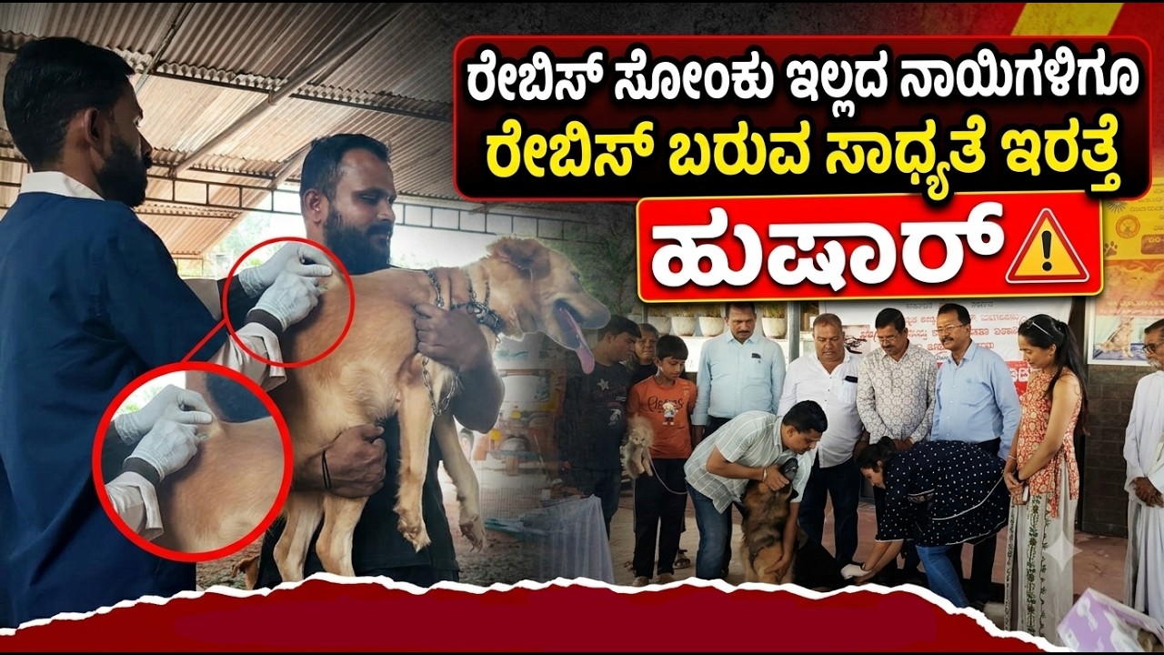 ಕೊಲ್ಯದಲ್ಲಿ ದೇಸೀ ಬೆಕ್ಕು, ನಾಯಿ ಮರಿಗಳ ದತ್ತು ಕಾರ್ಯಕ್ರಮ