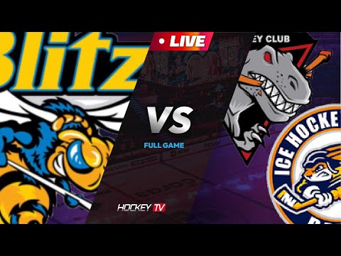 2023년도 제9회 제니스리그 고학년 C조 블리츠B vs 티렉스래빗츠 [LIVE] 2023.10.14