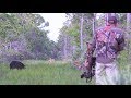 Wild Boar Spot n' Stalk With Recurve Crossbow! {Catch Clean Cook}