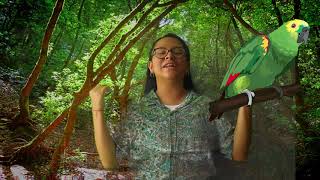 CLASES VIRTUALES: LA FLORA Y FAUNA DE LA SELVA PERUANA