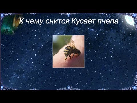 К чему снится Кусает пчела (Сонник)