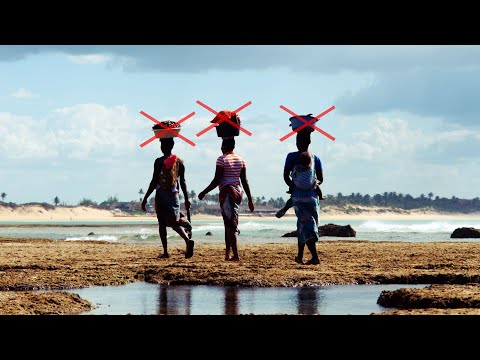 Video: 18 Bijwerkingen Van Het Leven In Mozambique - Matador Network