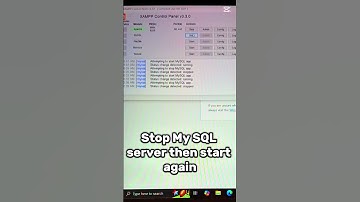 Error Establishing + database connection - How to fix this #wordpress #database #xamppserver