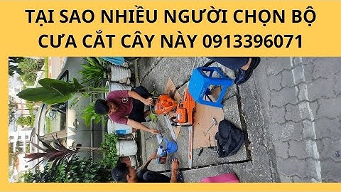 Cách lắp lam xích cưa 365 Thụy Điện chính hãng dễ làm nhất
