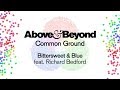 Above & Beyond feat. Richard Bedford - Bittersweet & Blue