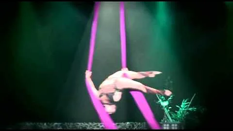 Rachel Gauthier on Aerial Silks