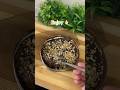 Coffee walnut fudge l #viralshort #lonavala #maharashtra #recipe #chocolate #easyrecipe #shortsvideo