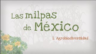 1.- Las milpas de México, Agrobiodiversidad