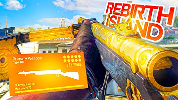 the INSANE TYPE 100 CLASS on REBIRTH ISLAND! 🔥 (Rebirth Island Warzone)