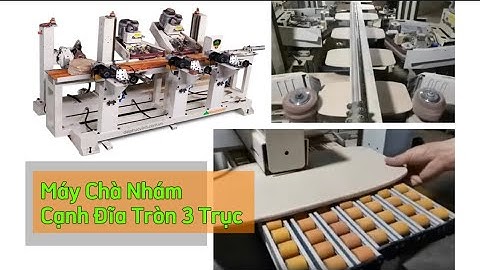 Máy Chà Nhám Cạnh Đĩa Tròn 3 Trục - Woodmaster - WM-S2W1-R