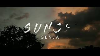 Status wa senja | senja tai anjing