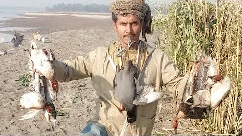 Duck hunting in pakistan 2021