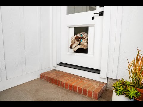 Chamberlain unveils the myQ Pet Portal: an automatic garage door for your dog