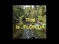 Adventures in Homosassa, Florida