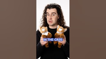 What is Entanglement? #quantum #physics #science #nist #deer #explore #IYQ2025 #quantumphysics