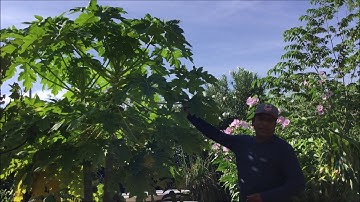 How to Create the Microclimate in your yard / Garden !!!!