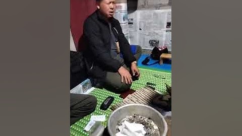 Văn hóa dân tộc nùng. Lễ cấp sắc dân tộc nùng. Phạp. Bài 5   .